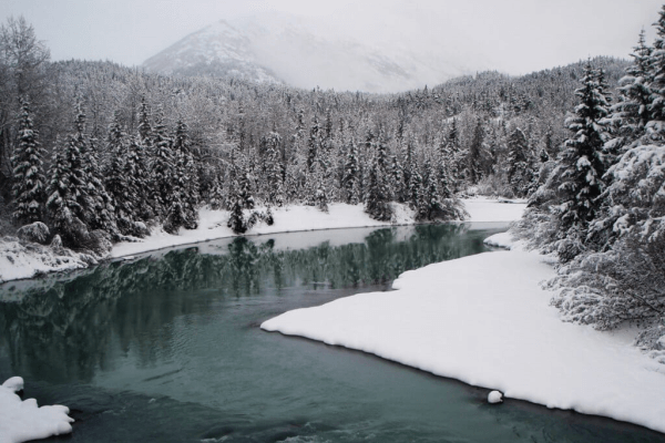 Moose Pass Image