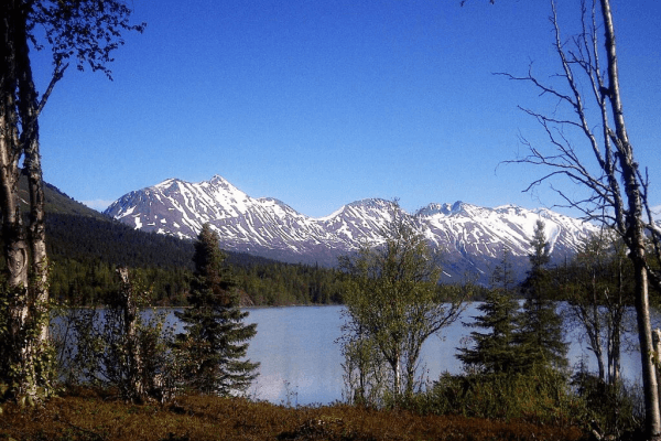 Moose Pass Image