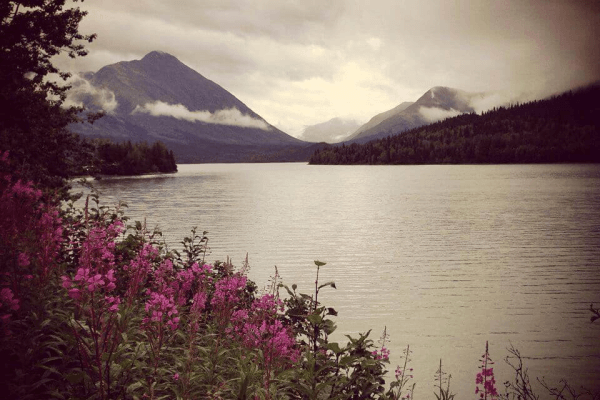 Moose Pass Image