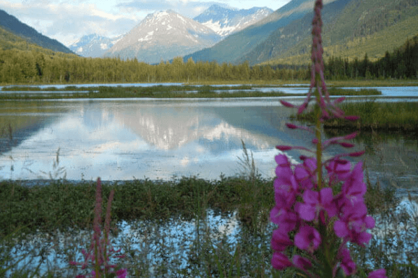 Moose Pass Image